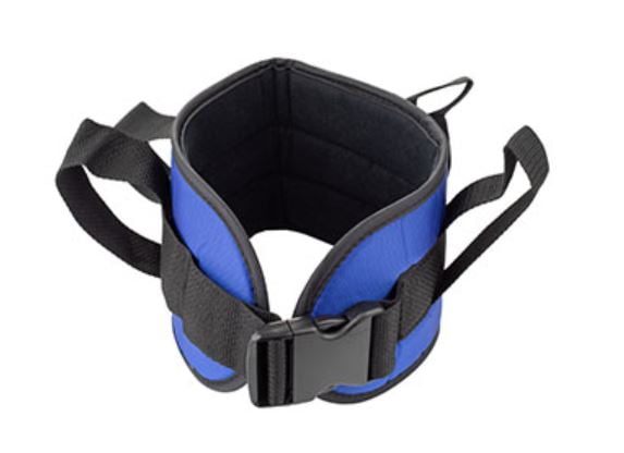 Padded Transfer Belt
