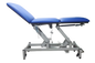 Electric Examination Couch 3 Section