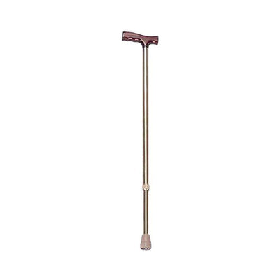 Walking Stick