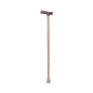 Walking Stick