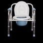 Stainless steel chair with toilet