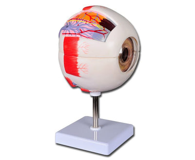 VALUE EYE - 6 parts