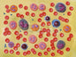 BLOOD CELLS - 2000X